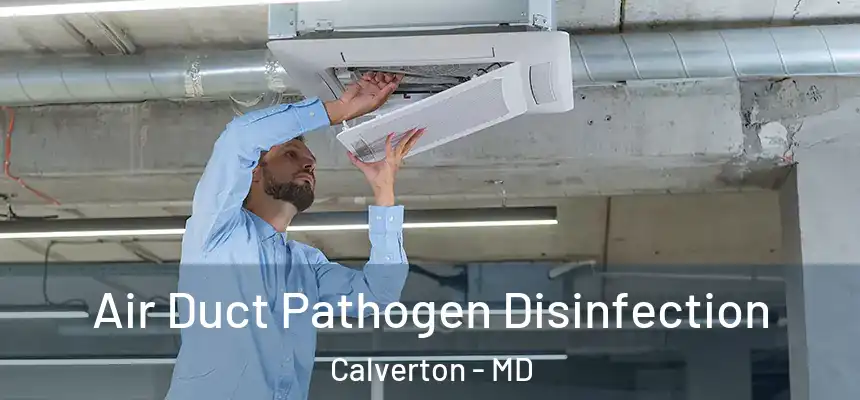  Air Duct Pathogen Disinfection Calverton - MD