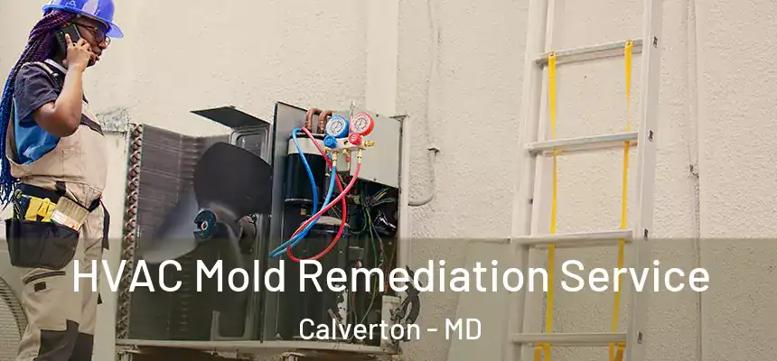  HVAC Mold Remediation Service Calverton - MD