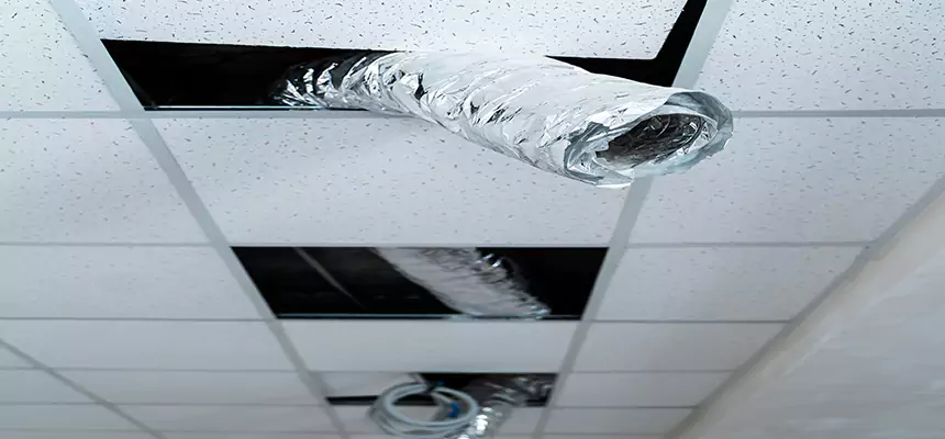 Affordable HVAC Sanitizing After Pest Removal in Calverton