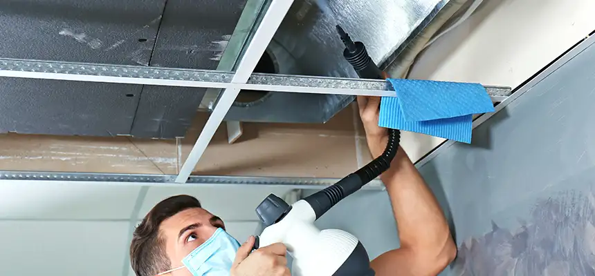 Our Air Duct Rodent Removal Services in Calverton, MD