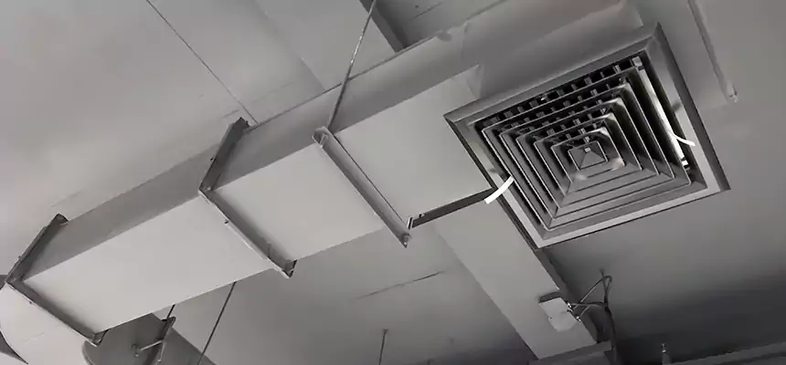 Restorative Allergy Relief Vent Cleaning – Coil, Blower & Housing Detail in Calverton