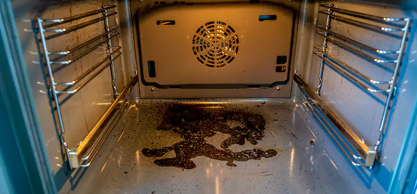 Our Dryer Vent Mold Cleaning Services in Calverton, MD