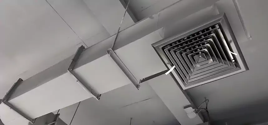 Our Pest Removal From Ducts Services in Calverton, MD