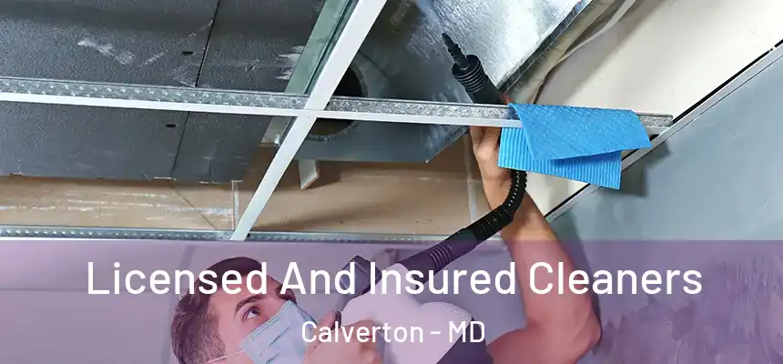  Licensed And Insured Cleaners Calverton - MD