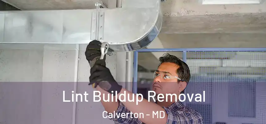  Lint Buildup Removal Calverton - MD