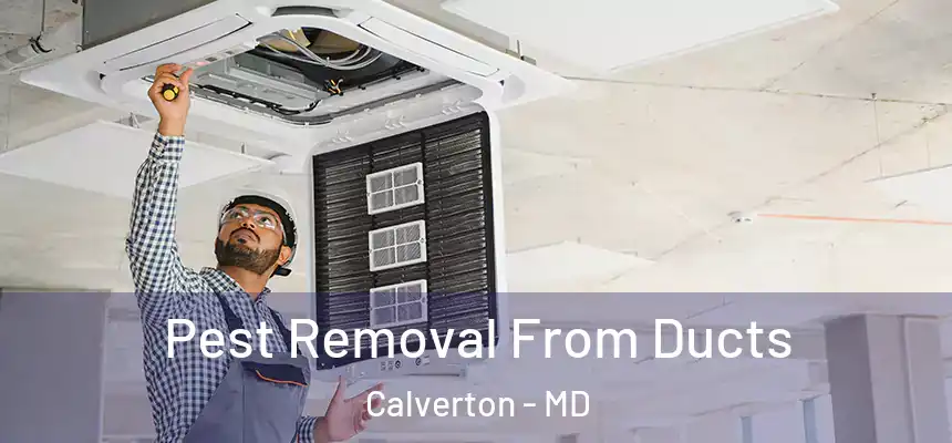  Pest Removal From Ducts Calverton - MD