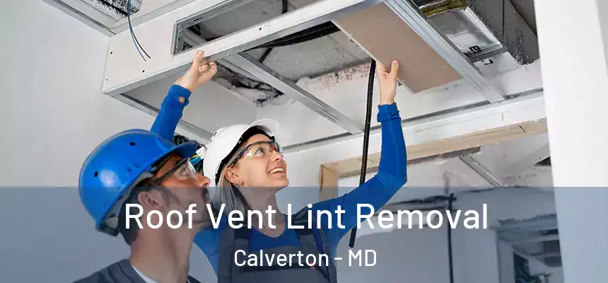  Roof Vent Lint Removal Calverton - MD