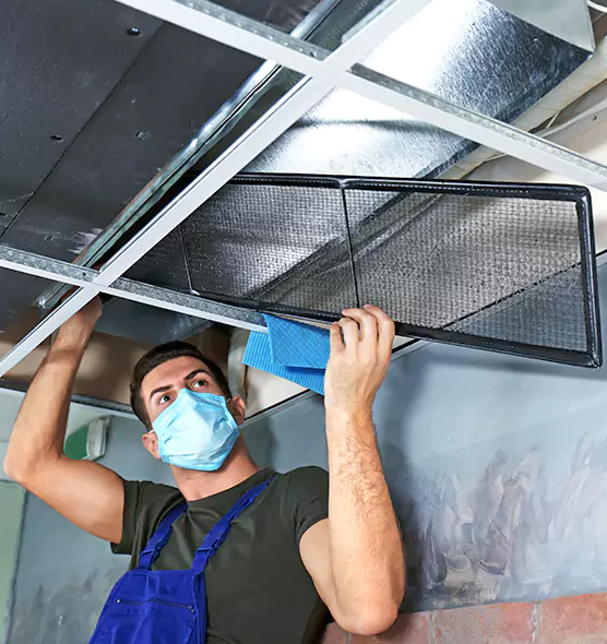 About Air Duct Bacteria Removal in Calverton